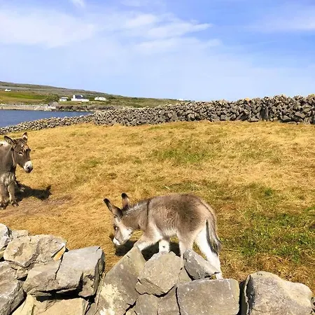 Irish Isle Oasis: Spacious 5-bedroom Retreat *