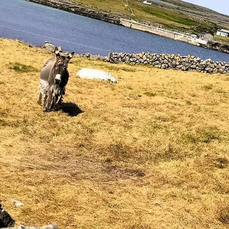 Irish Isle Oasis: Spacious 5-bedroom Retreat Bungowla